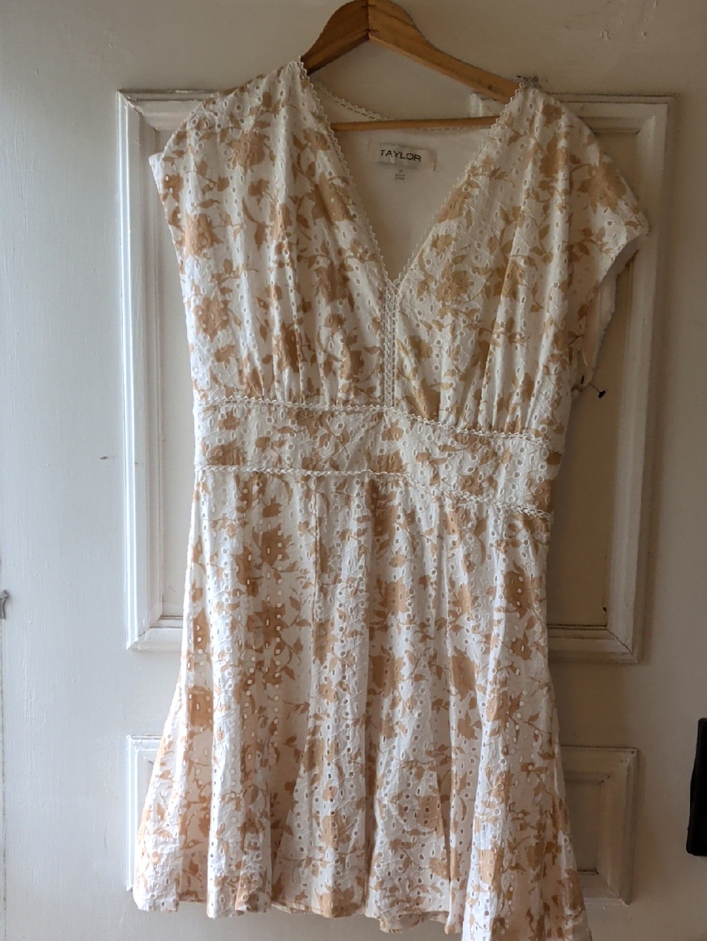 Taylor Cream & Tan Eyelet Floral V-Neck Mini Dress